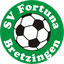 Fortuna Bretzingen Fortuna Bretzingen