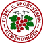 TuS Ellmendingen