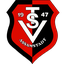 TSV Assamstadt II