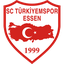 Türkiyemspor Essen