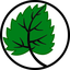 Borussia Lindenthal-Hohenlind