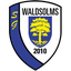 SG Waldsolms II