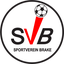 SV Brake III