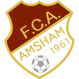 FC Amsham