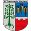 SV Tresenwald Machern II