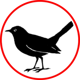Rot-Weiß Merl