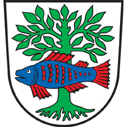 SV Bad Buchau