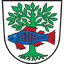 SV Bad Buchau