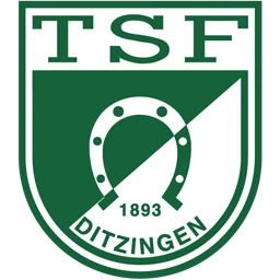 TSF Ditzingen