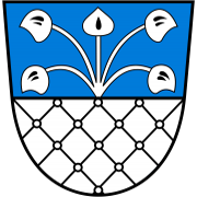 TuS Ergenzingen