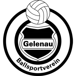 BSV Gelenau
