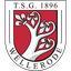 TSG Wellerode