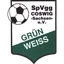 Grün-Weiß Coswig