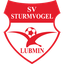 Sturmvogel Lubmin