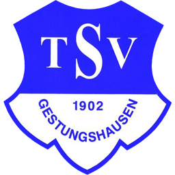 TSV Gestungshausen