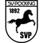 SV Pocking