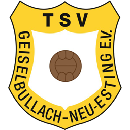 TSV Geiselbullach Neu-Esting