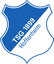 1899 Hoffenheim