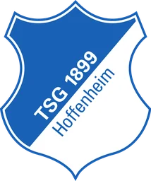 1899 Hoffenheim Logo 2014 - present