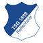1899 Hoffenheim II