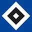 Hamburger SV IV