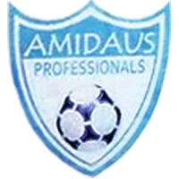 Amidaus Professionals