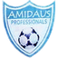 Amidaus Professionals