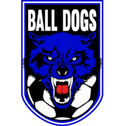Ball Dogs