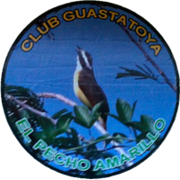 Deportivo Guastatoya