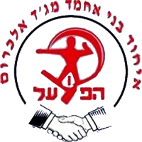 Ihud Bnei Majd al-Krum