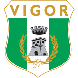 Vigor Lamezia