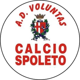Voluntas Calcio