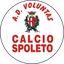 Voluntas Calcio