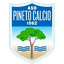 Pineto Calcio