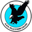 Villa D'Agri Calcio