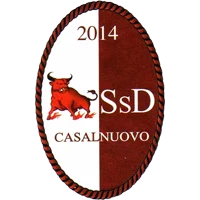 SSD Casalnuovo