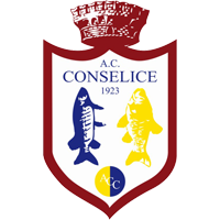 AC Conselice