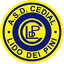 ASD Cedial Lido dei Pini