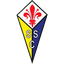 Castelfiorentino Calcio