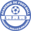 AFA Diallo