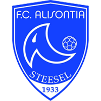 Alisontia Steinsel