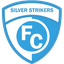 Silver Strikers