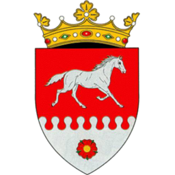 CF Rîșcani