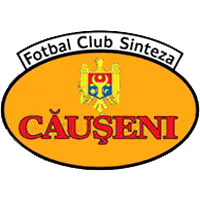 Sinteza Căușeni