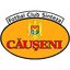 Sinteza Căușeni