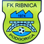 FK Ribnica