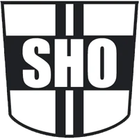 VV Steeds Hooger Oud-Beijerland