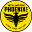 Wellington Phoenix II