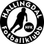 Hallingdal FK