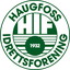 Haugfoss IF